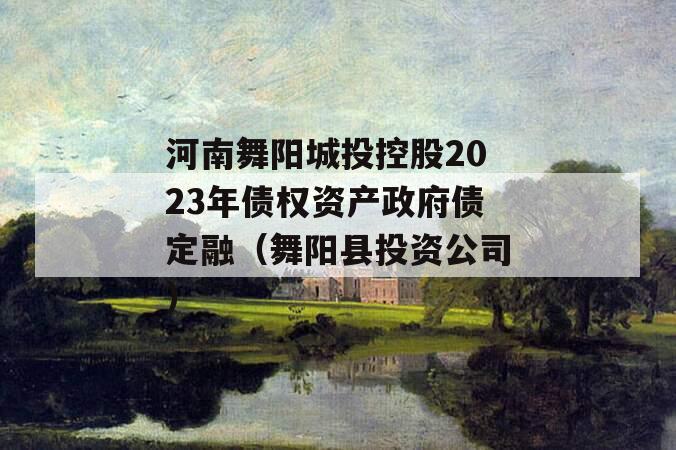 河南舞阳城投控股2023年债权资产政府债定融（舞阳县投资公司）