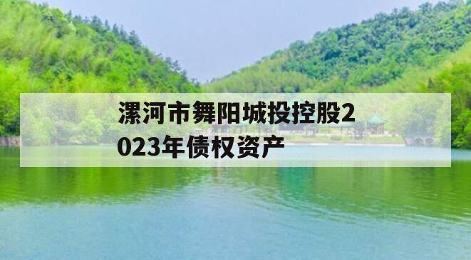 漯河市舞阳城投控股2023年债权资产