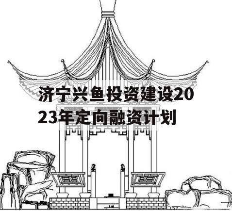 济宁兴鱼投资建设2023年定向融资计划