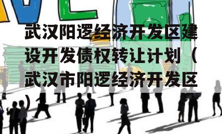 武汉阳逻经济开发区建设开发债权转让计划（武汉市阳逻经济开发区）