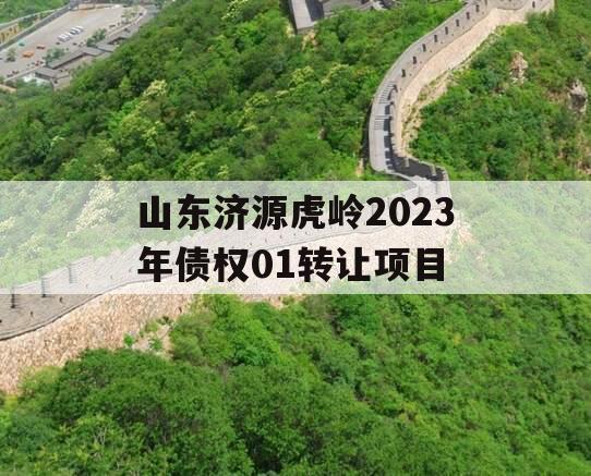 山东济源虎岭2023年债权01转让项目