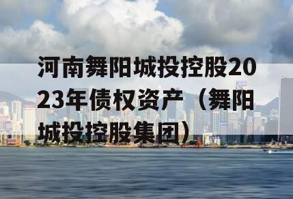 河南舞阳城投控股2023年债权资产（舞阳城投控股集团）