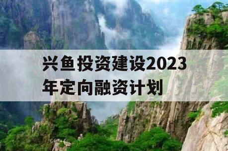 兴鱼投资建设2023年定向融资计划