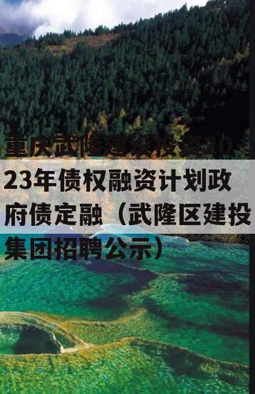 重庆武隆建设投资2023年债权融资计划政府债定融（武隆区建投集团招聘公示）