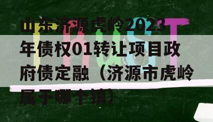 山东济源虎岭2023年债权01转让项目政府债定融（济源市虎岭属于哪个镇）