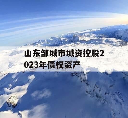 山东邹城市城资控股2023年债权资产