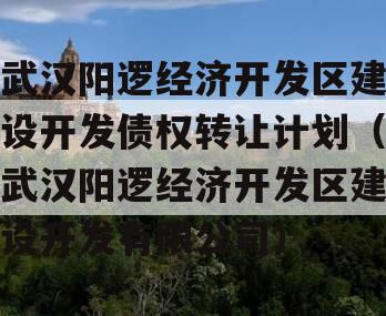 武汉阳逻经济开发区建设开发债权转让计划（武汉阳逻经济开发区建设开发有限公司）