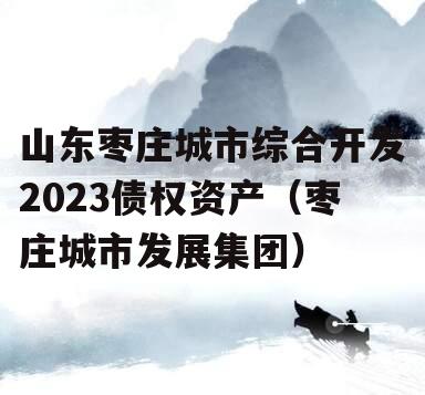 山东枣庄城市综合开发2023债权资产（枣庄城市发展集团）