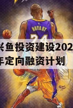 兴鱼投资建设2023年定向融资计划