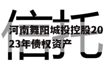 河南舞阳城投控股2023年债权资产