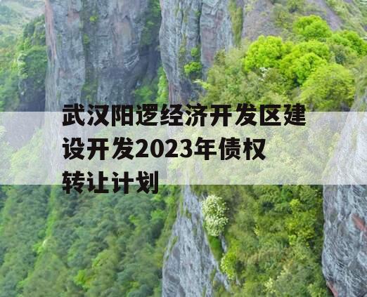 武汉阳逻经济开发区建设开发2023年债权转让计划