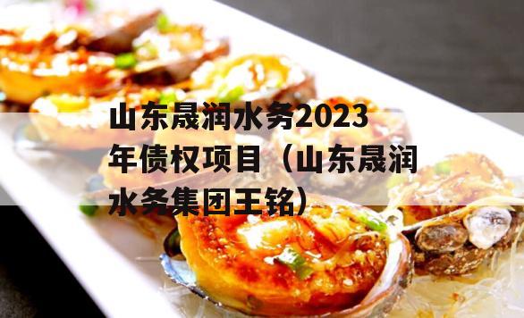 山东晟润水务2023年债权项目（山东晟润水务集团王铭）