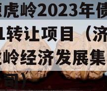 济源虎岭2023年债权01转让项目（济源市虎岭经济发展集团有限公司）