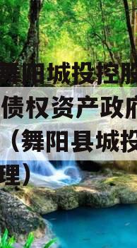 河南舞阳城投控股2023年债权资产政府债定融（舞阳县城投公司杨经理）