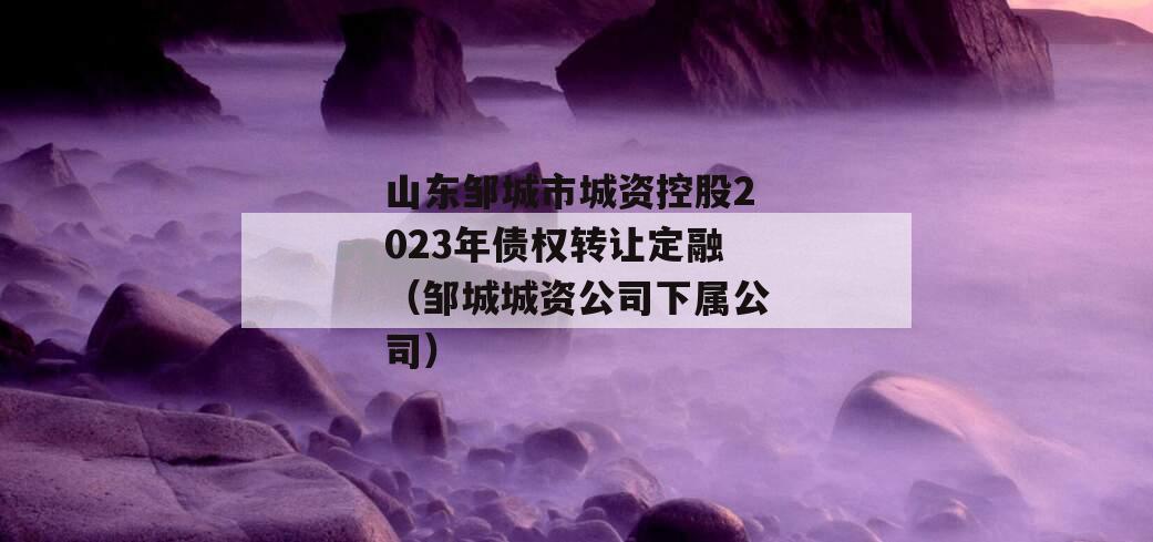 山东邹城市城资控股2023年债权转让定融（邹城城资公司下属公司）