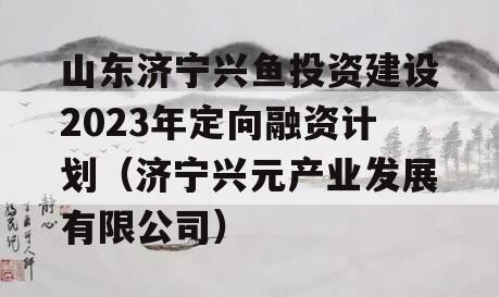 山东济宁兴鱼投资建设2023年定向融资计划（济宁兴元产业发展有限公司）