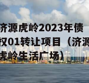 济源虎岭2023年债权01转让项目（济源虎岭生活广场）