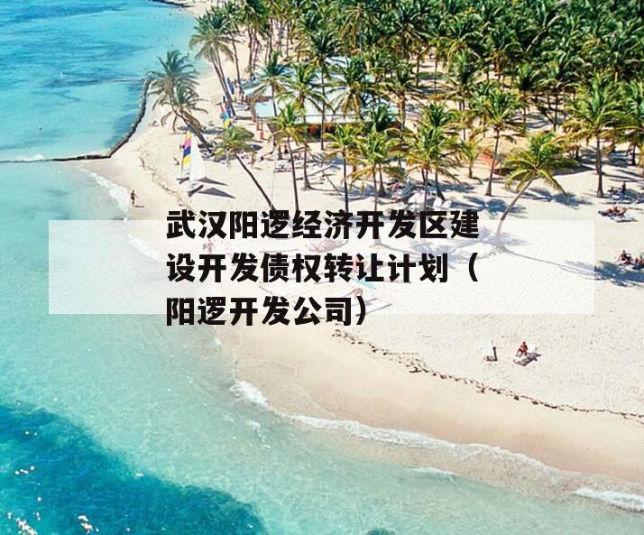 武汉阳逻经济开发区建设开发债权转让计划（阳逻开发公司）