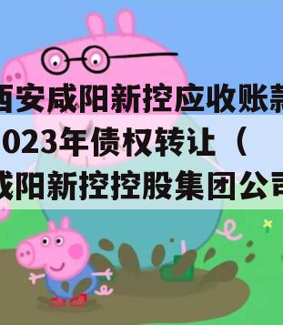 西安咸阳新控应收账款2023年债权转让（咸阳新控控股集团公司）