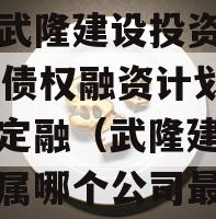 重庆武隆建设投资2023年债权融资计划政府债定融（武隆建投集团下属哪个公司最好）