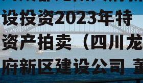 四川成都龙阳天府新区建设投资2023年特定资产拍卖（四川龙阳天府新区建设公司 董事长）