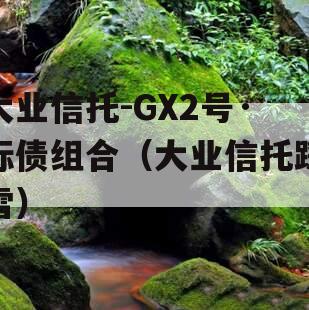 大业信托-GX2号·标债组合（大业信托踩雷）