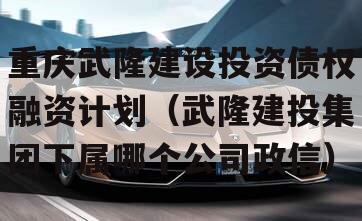 重庆武隆建设投资债权融资计划（武隆建投集团下属哪个公司政信）