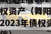 舞阳城投控股2023年债权资产（舞阳城投控股2023年债权资产减值）