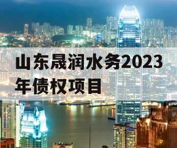 山东晟润水务2023年债权项目