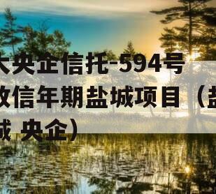 大央企信托-594号政信年期盐城项目（盐城 央企）