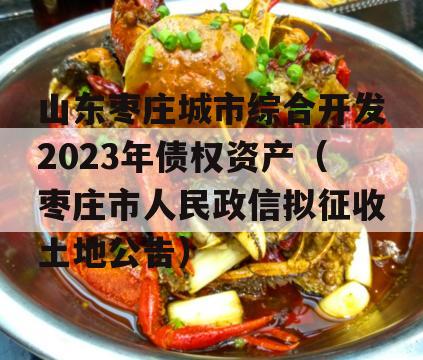 山东枣庄城市综合开发2023年债权资产（枣庄市人民政信拟征收土地公告）