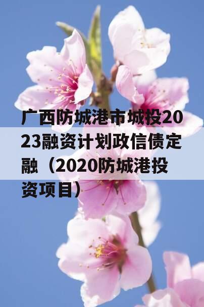 广西防城港市城投2023融资计划政信债定融（2020防城港投资项目）