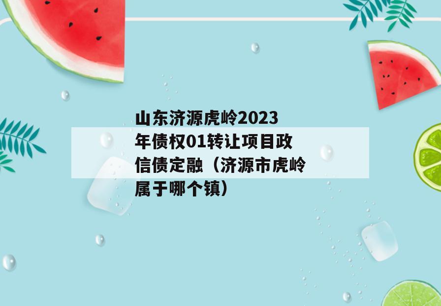 山东济源虎岭2023年债权01转让项目政信债定融（济源市虎岭属于哪个镇）