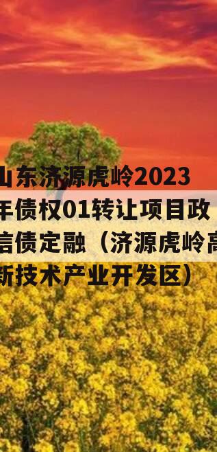 山东济源虎岭2023年债权01转让项目政信债定融（济源虎岭高新技术产业开发区）