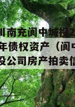 四川南充阆中城投2023年债权资产（阆中城投公司房产拍卖信息）