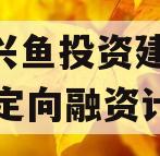 济宁兴鱼投资建设2023年定向融资计划