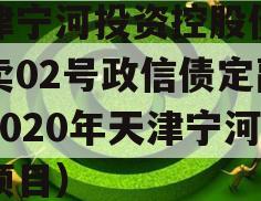 天津宁河投资控股债权拍卖02号政信债定融（2020年天津宁河区项目）