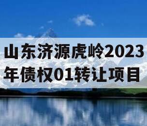 山东济源虎岭2023年债权01转让项目