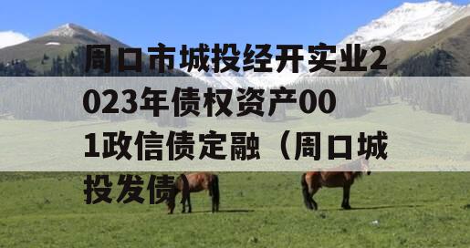 周口市城投经开实业2023年债权资产001政信债定融（周口城投发债）