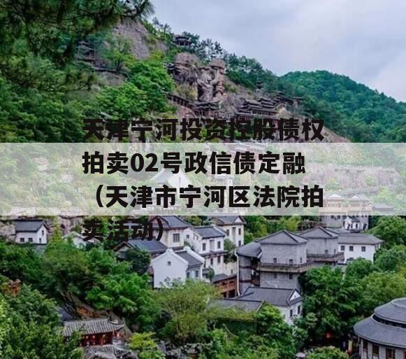 天津宁河投资控股债权拍卖02号政信债定融（天津市宁河区法院拍卖活动）