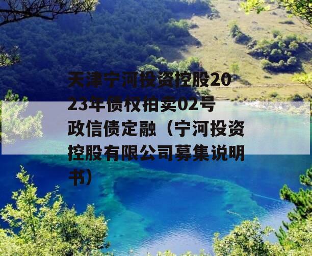 天津宁河投资控股2023年债权拍卖02号政信债定融（宁河投资控股有限公司募集说明书）