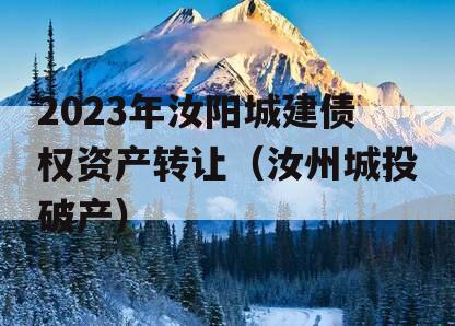 2023年汝阳城建债权资产转让（汝州城投破产）