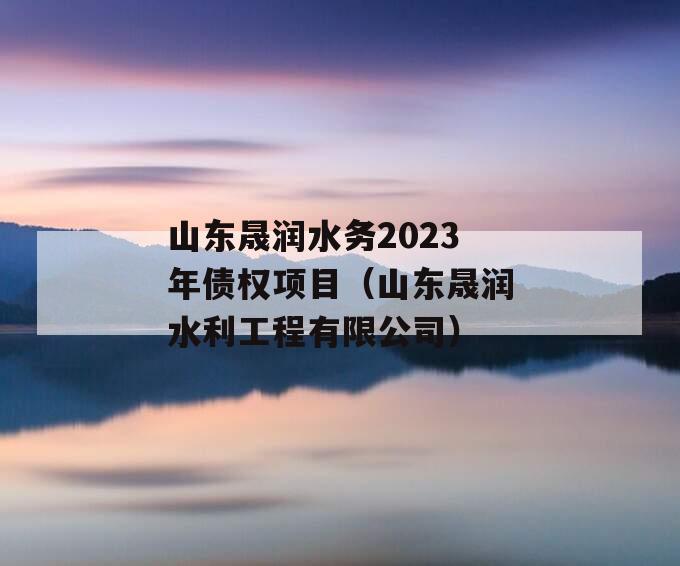 山东晟润水务2023年债权项目（山东晟润水利工程有限公司）