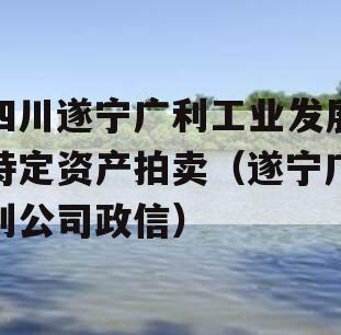 四川遂宁广利工业发展特定资产拍卖（遂宁广利公司政信）