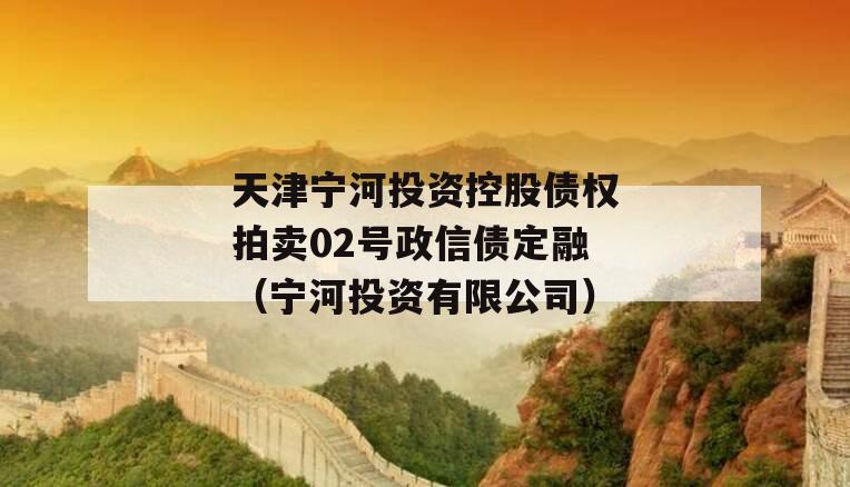 天津宁河投资控股债权拍卖02号政信债定融（宁河投资有限公司）