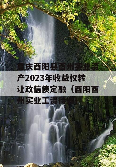 重庆酉阳县酉州实业资产2023年收益权转让政信债定融（酉阳酉州实业工资待遇）