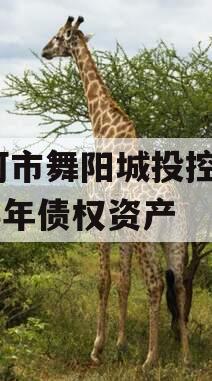 漯河市舞阳城投控股2023年债权资产