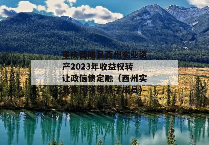 重庆酉阳县酉州实业资产2023年收益权转让政信债定融（酉州实业集团领导班子成员）