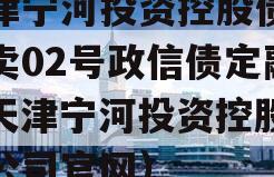 天津宁河投资控股债权拍卖02号政信债定融（天津宁河投资控股有限公司官网）