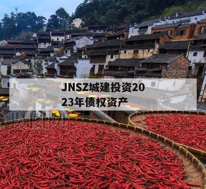 JNSZ城建投资2023年债权资产